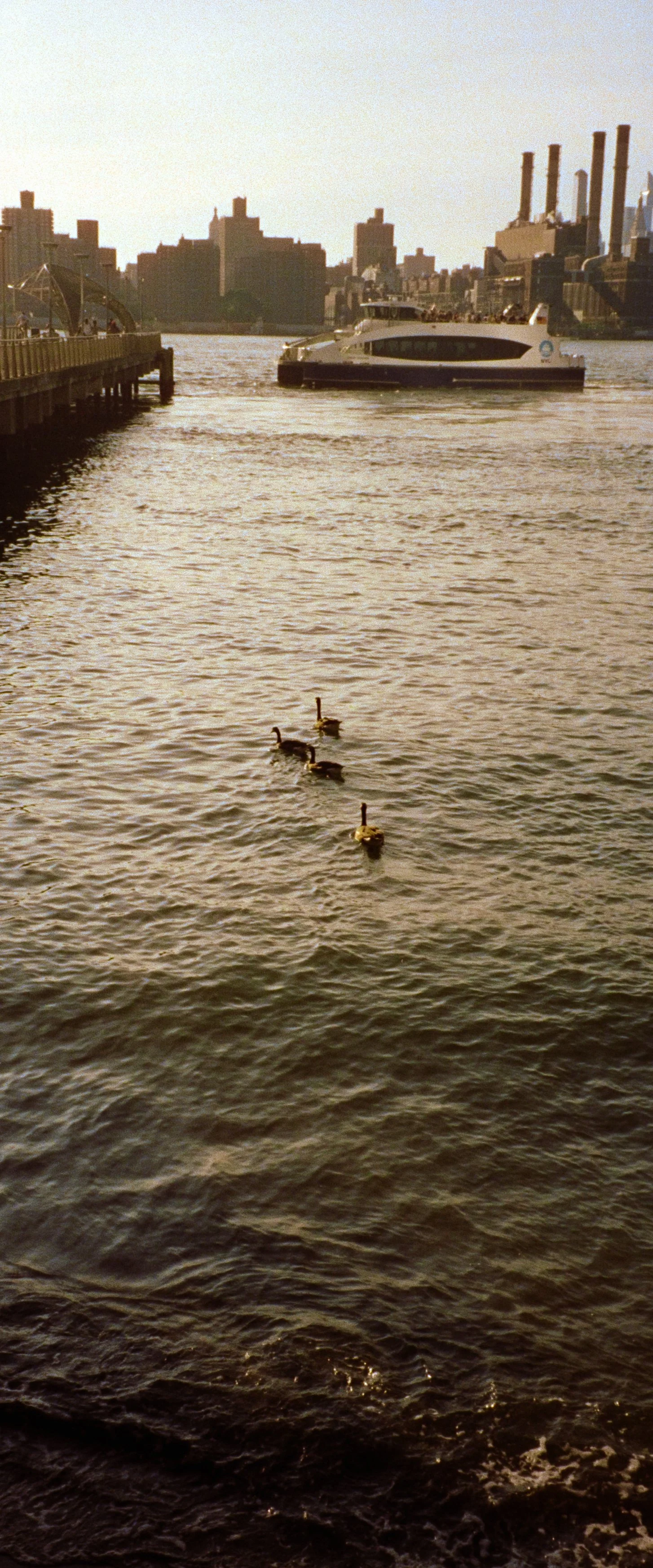 DSC05313-3 Cinestill 80035MM_20260730_EXPORTS.jpg