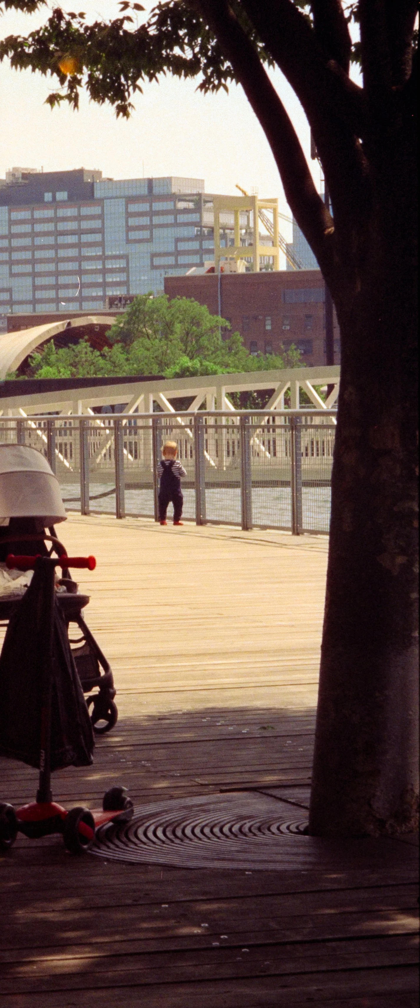 DSC05373-4 Cinestill 80035MM_20260730_EXPORTS.jpg