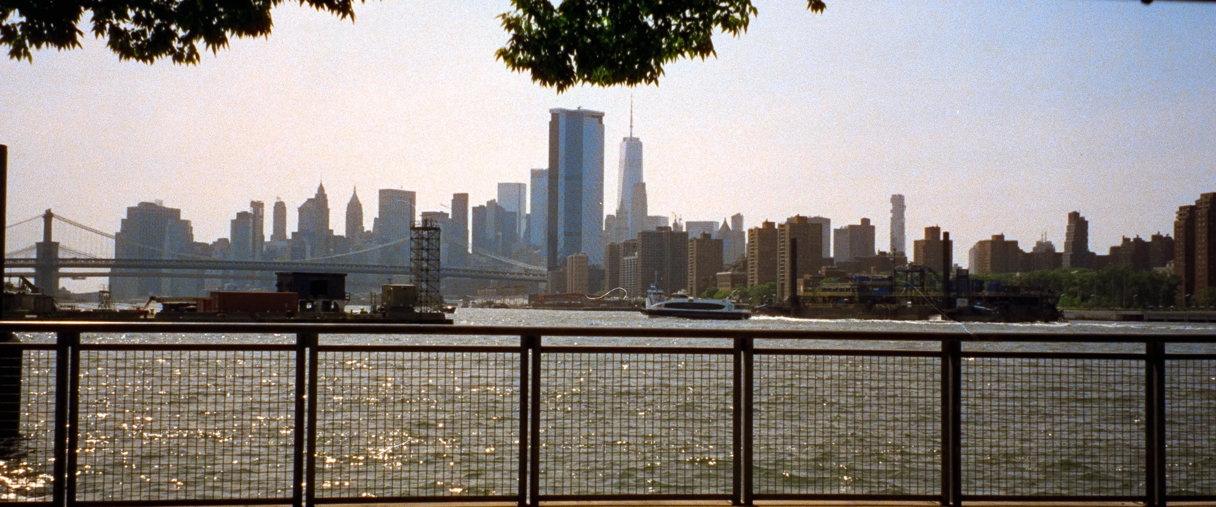 DSC05375-4 Cinestill 80035MM_20260730_EXPORTS.jpg
