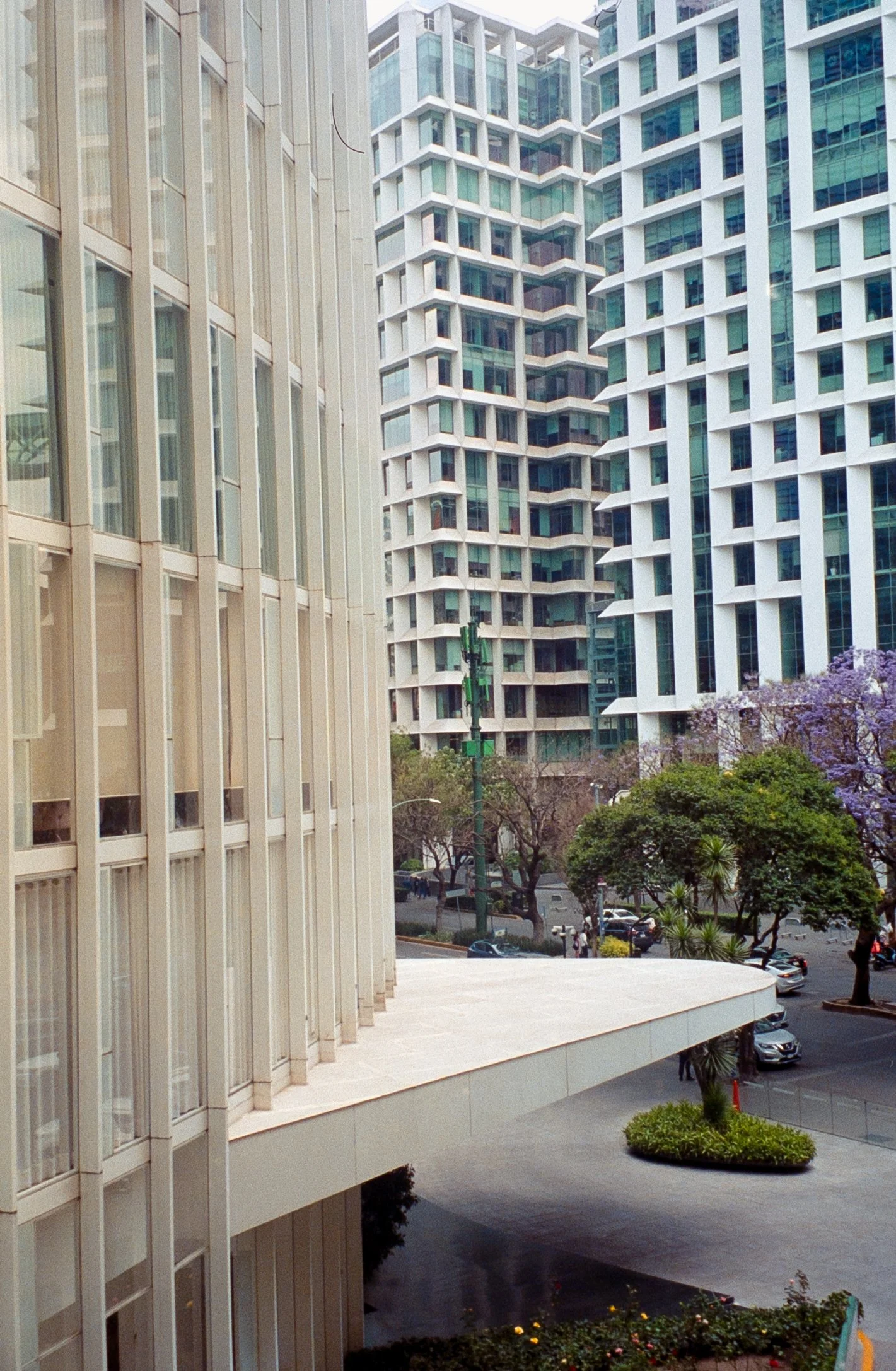 FILM_SCAN_20260430-096-FILM_SCAN_20260430-096PORTRA 800EXPORTS_YAZDI.jpg