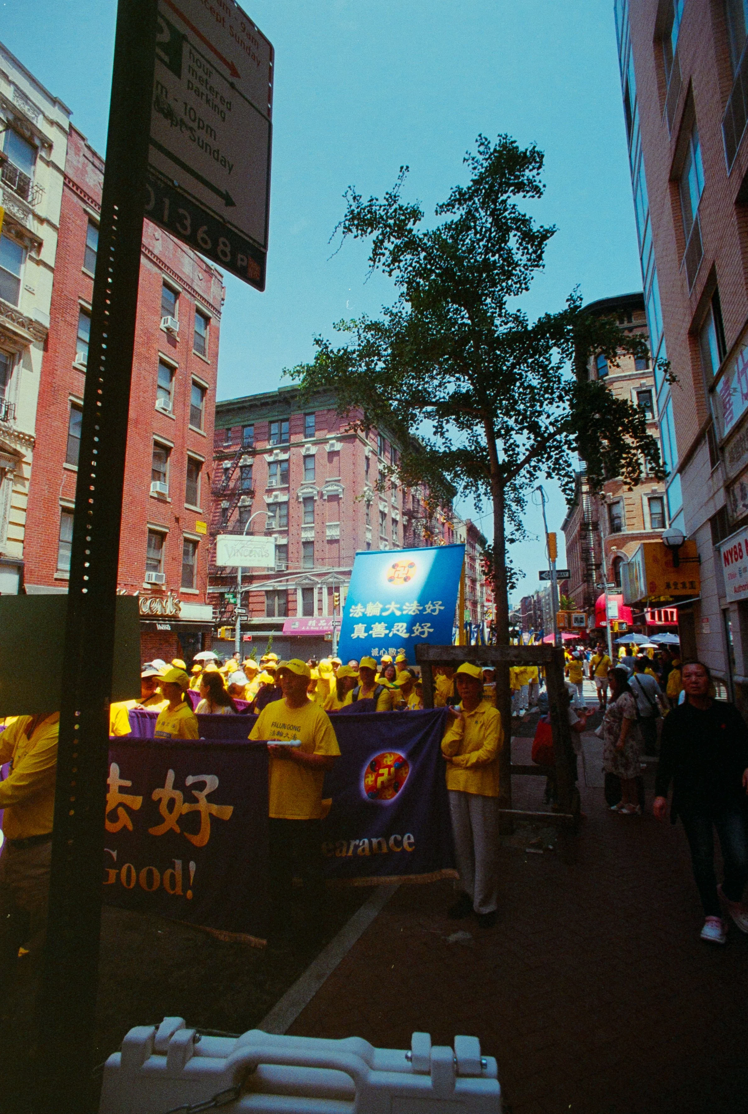 DSC05259-1 Fuji Gold35MM_20260730_EXPORTS.jpg
