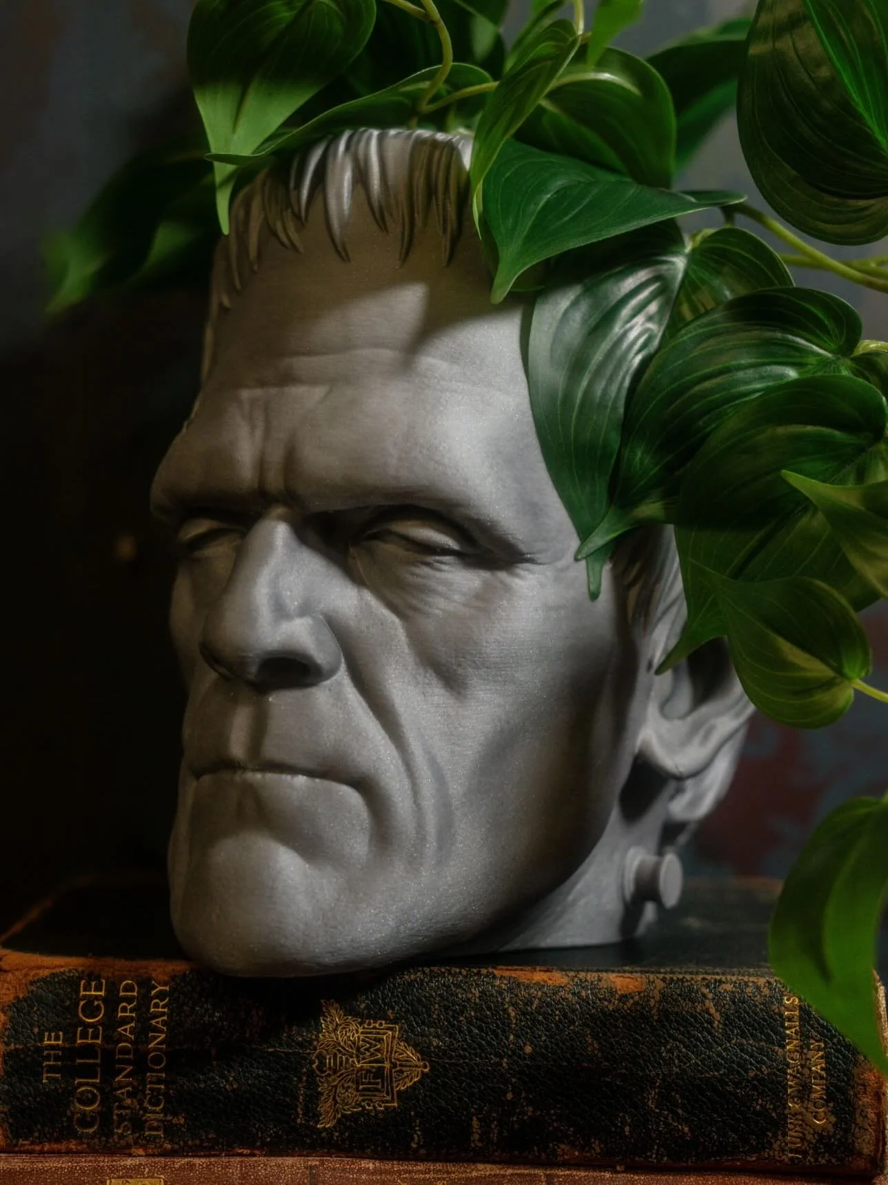 Frankenstein&rsquo;s Monster ⚡️

A monstrous classic reimagined for your gothic garden. Available in silver, emerald green, and black sparkle, this piece brings life (and a little menace) to any plant shelf.

Part of our Monster Plant Series &mdash; 