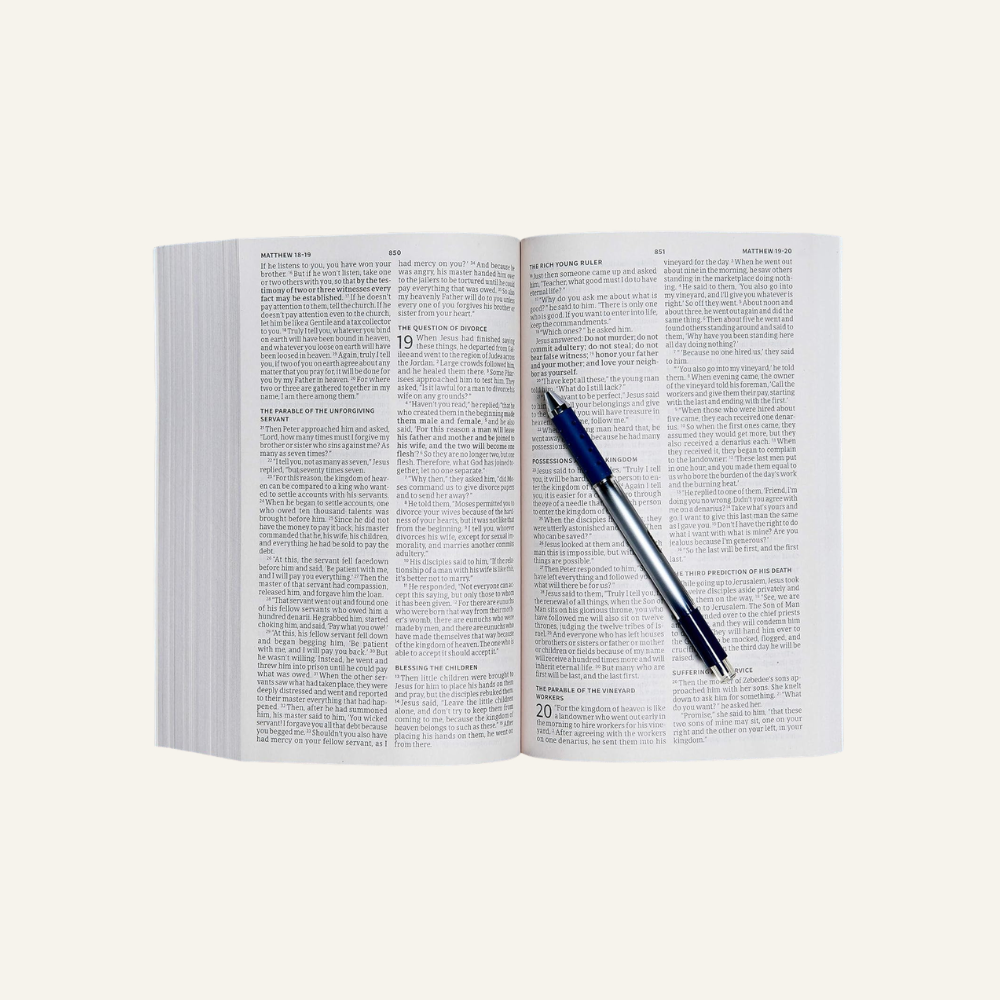 Copy of Untitled Design (41).png