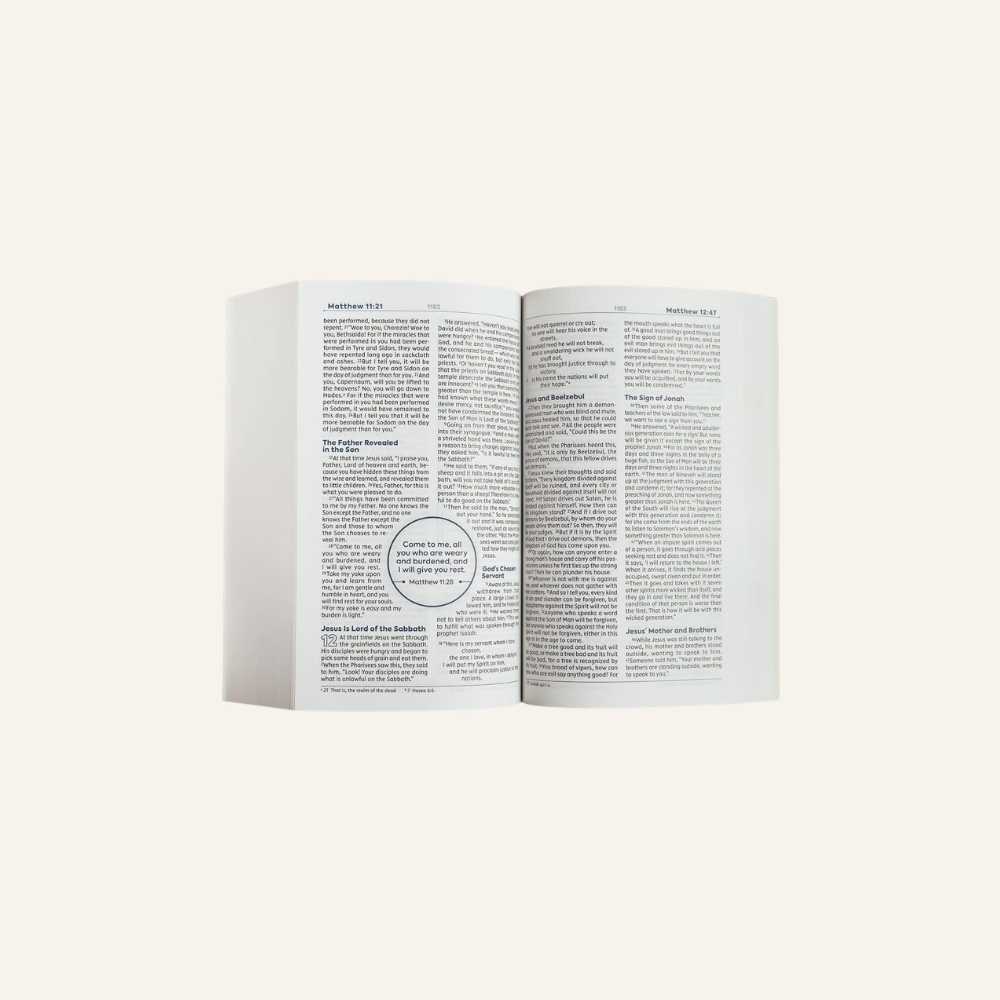 Copy of Untitled Design (23).png