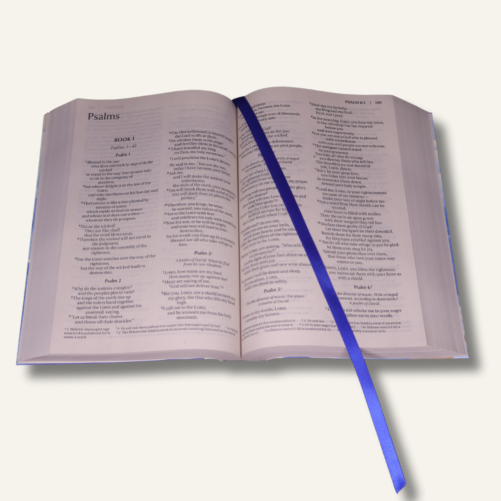 Untitled design (28).png