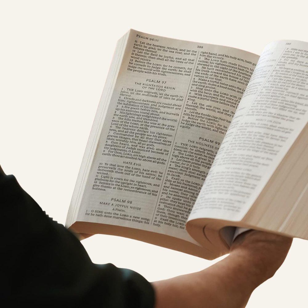 Copy of Untitled Design (32).png