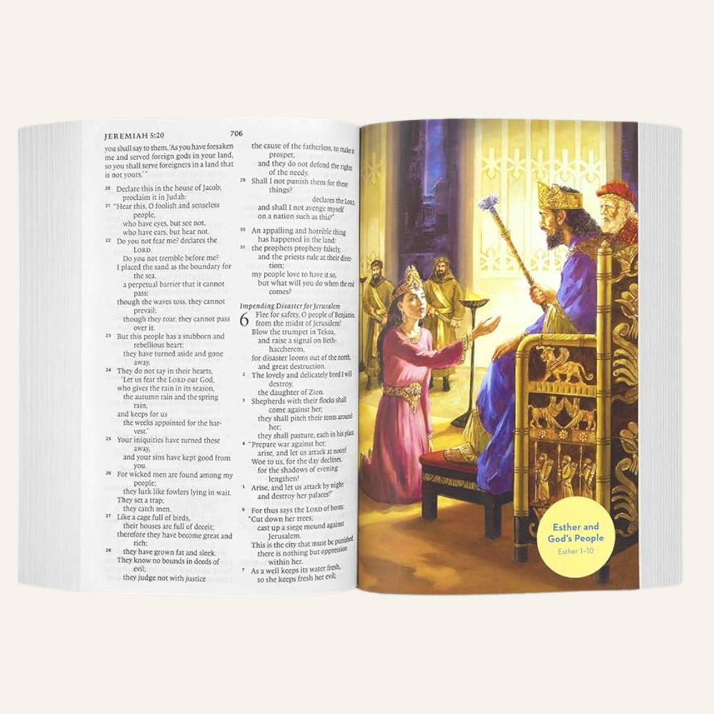 Copy of Untitled Design (4).png