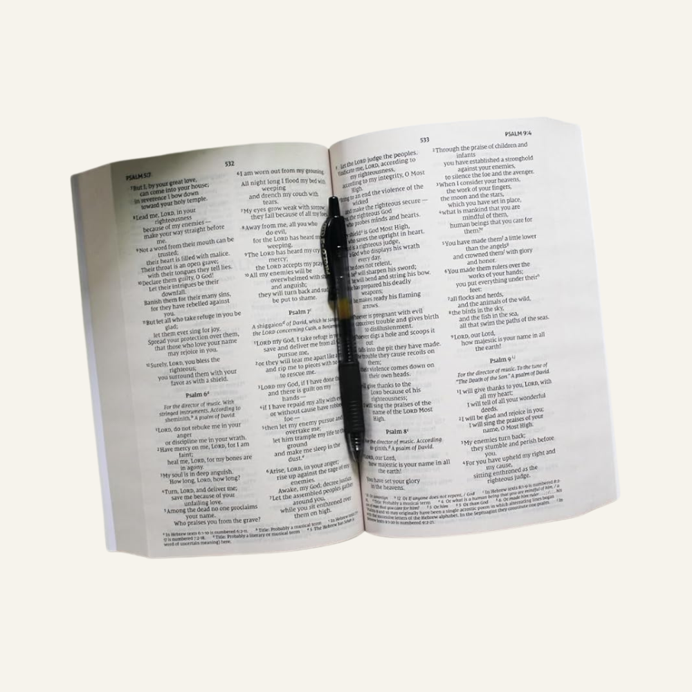 Copy of Untitled Design (20).png
