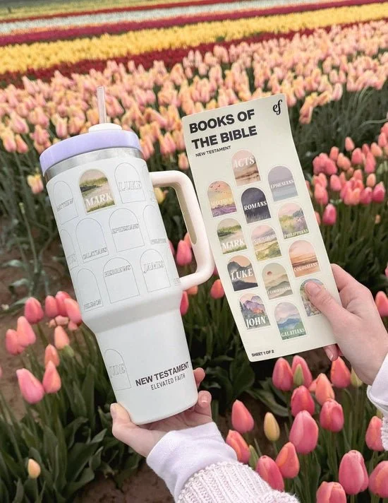 original - 2026-01-08T112121.373.jpeg