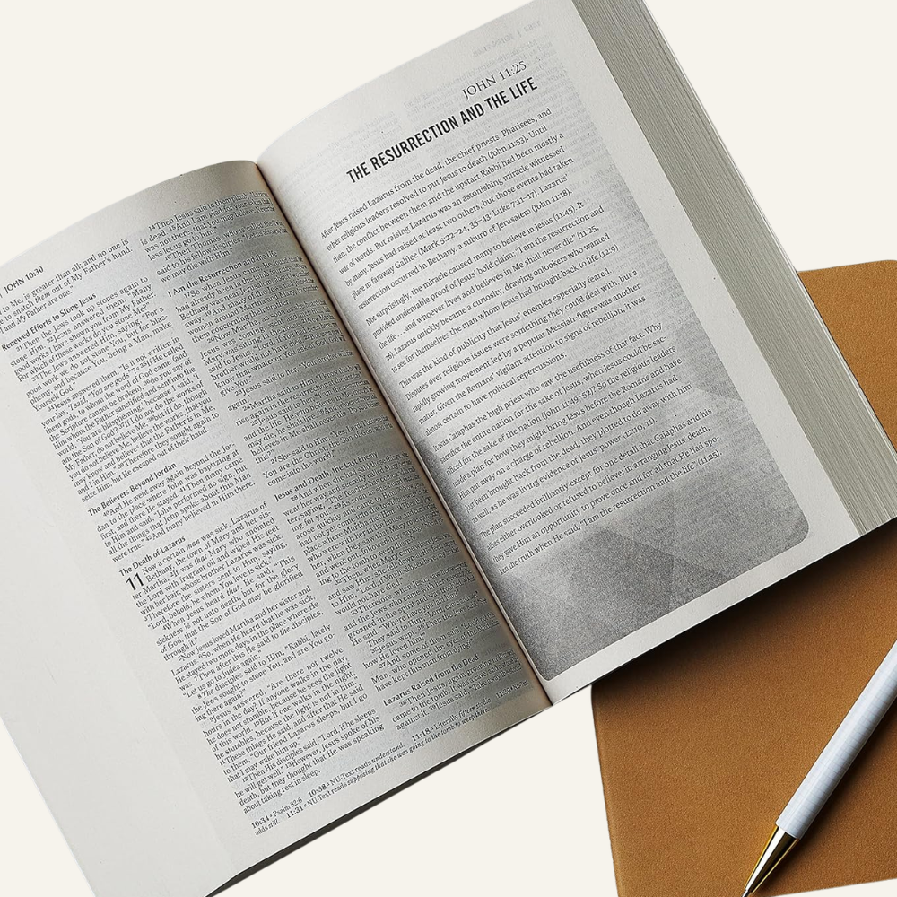 Copy of Untitled Design (44).png