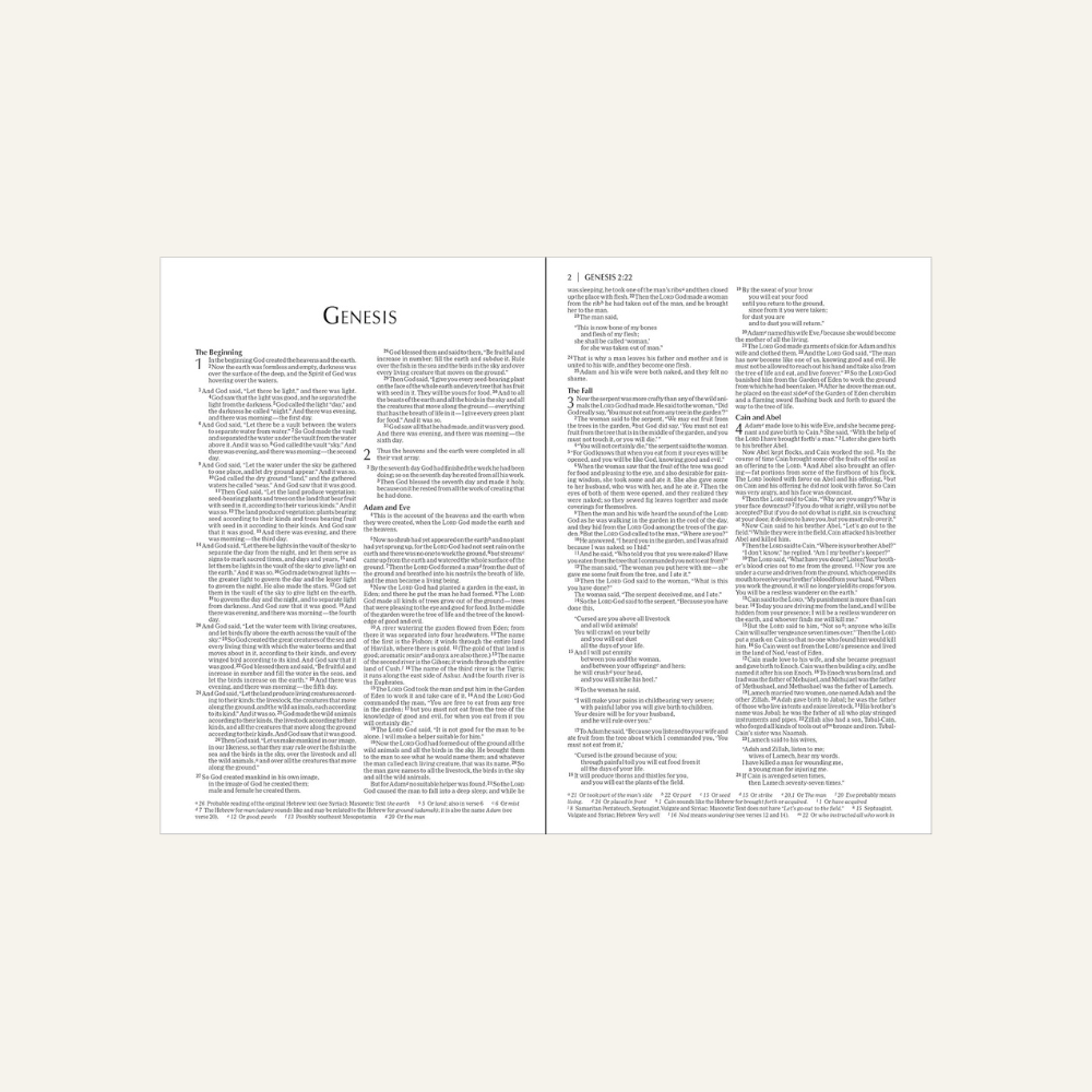 Copy of Untitled Design (6).png