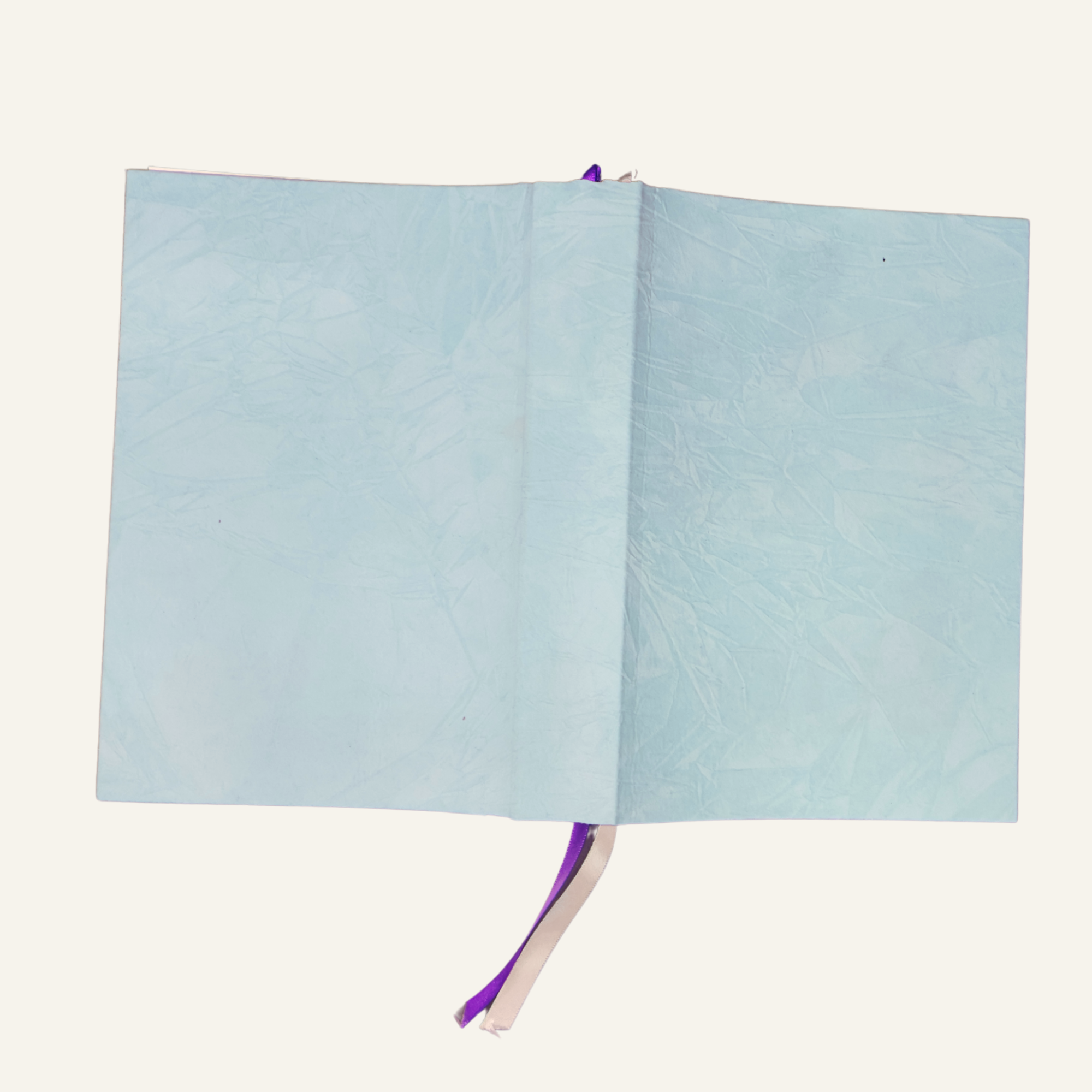 Velvet Mint Blue Covered Bible