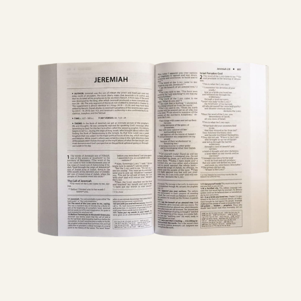 Copy of Untitled Design (27).png
