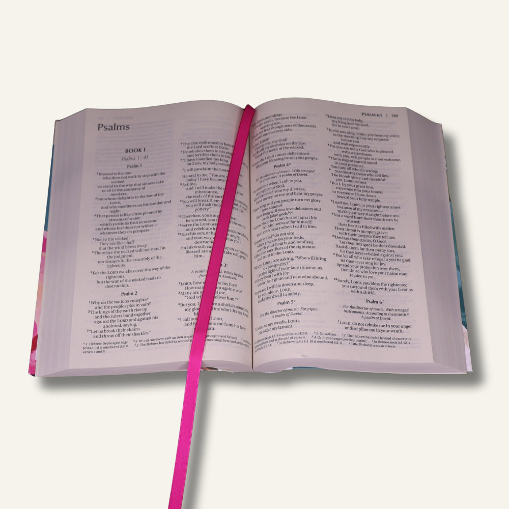 Untitled design (25).png