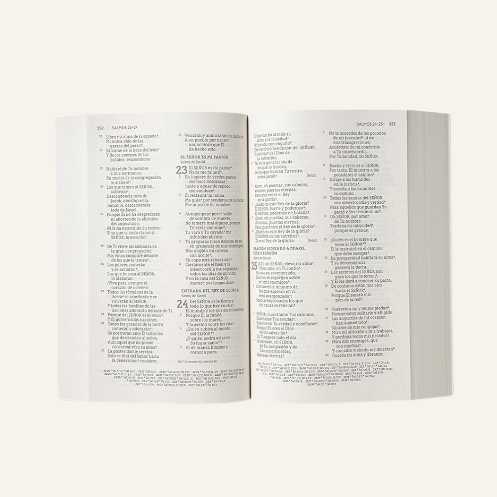 Copy of Untitled Design (15).png