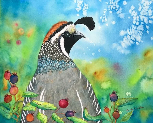 Peekaboo Quail