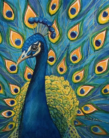 Peacock Glory
