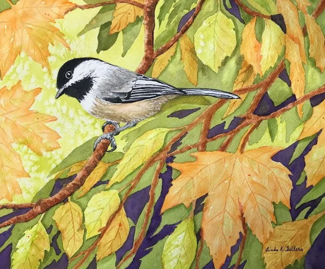 Autumn Chickadee