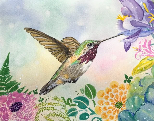 Hummingbird Garden