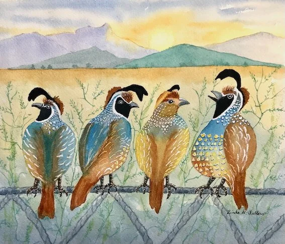 Quail on the Fence