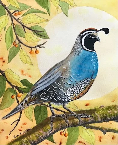 Quail in the Light