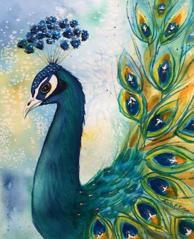 Jewelled Peacock