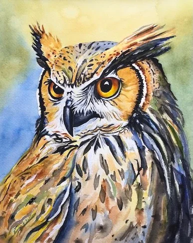 Great Horned Owl