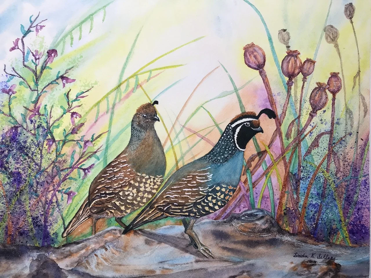 Quail Romance