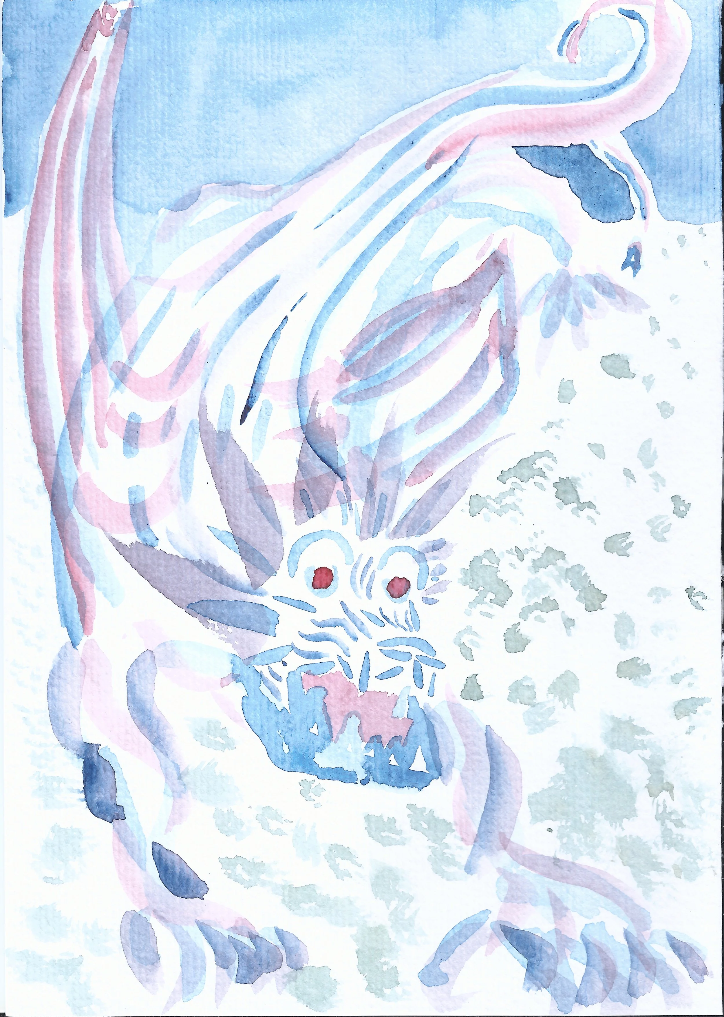 Dragon, what is it?