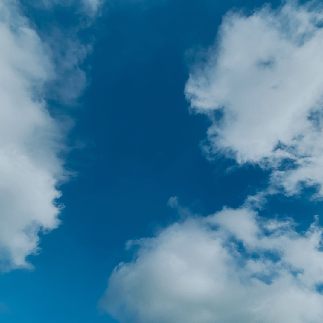 Sustainable Aviation Fuel, Air Quality and Public Health