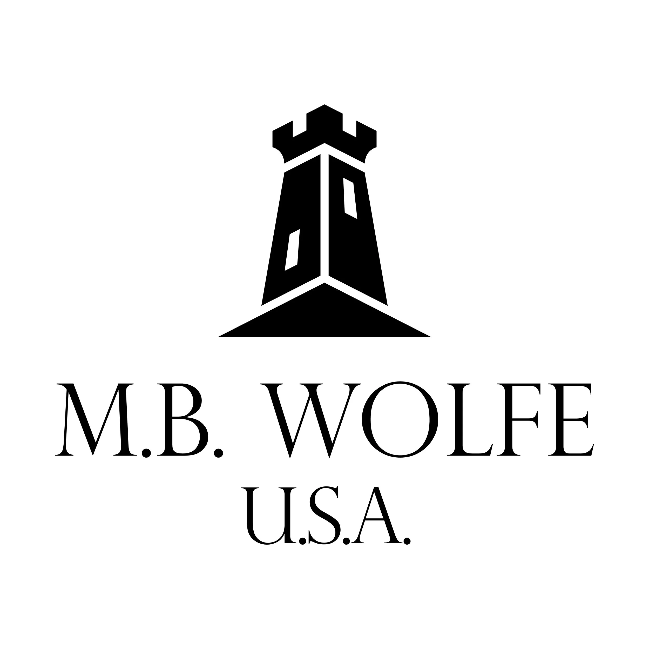 Terms of Use — M.B. WOLFE