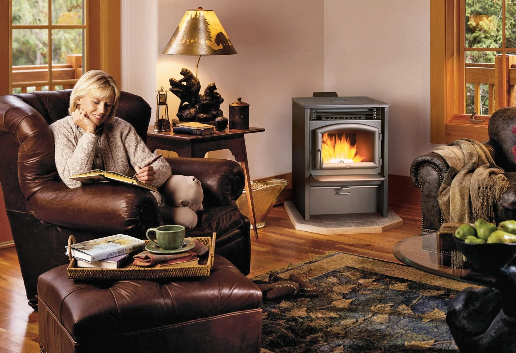 AGP Pellet Stove.jpg