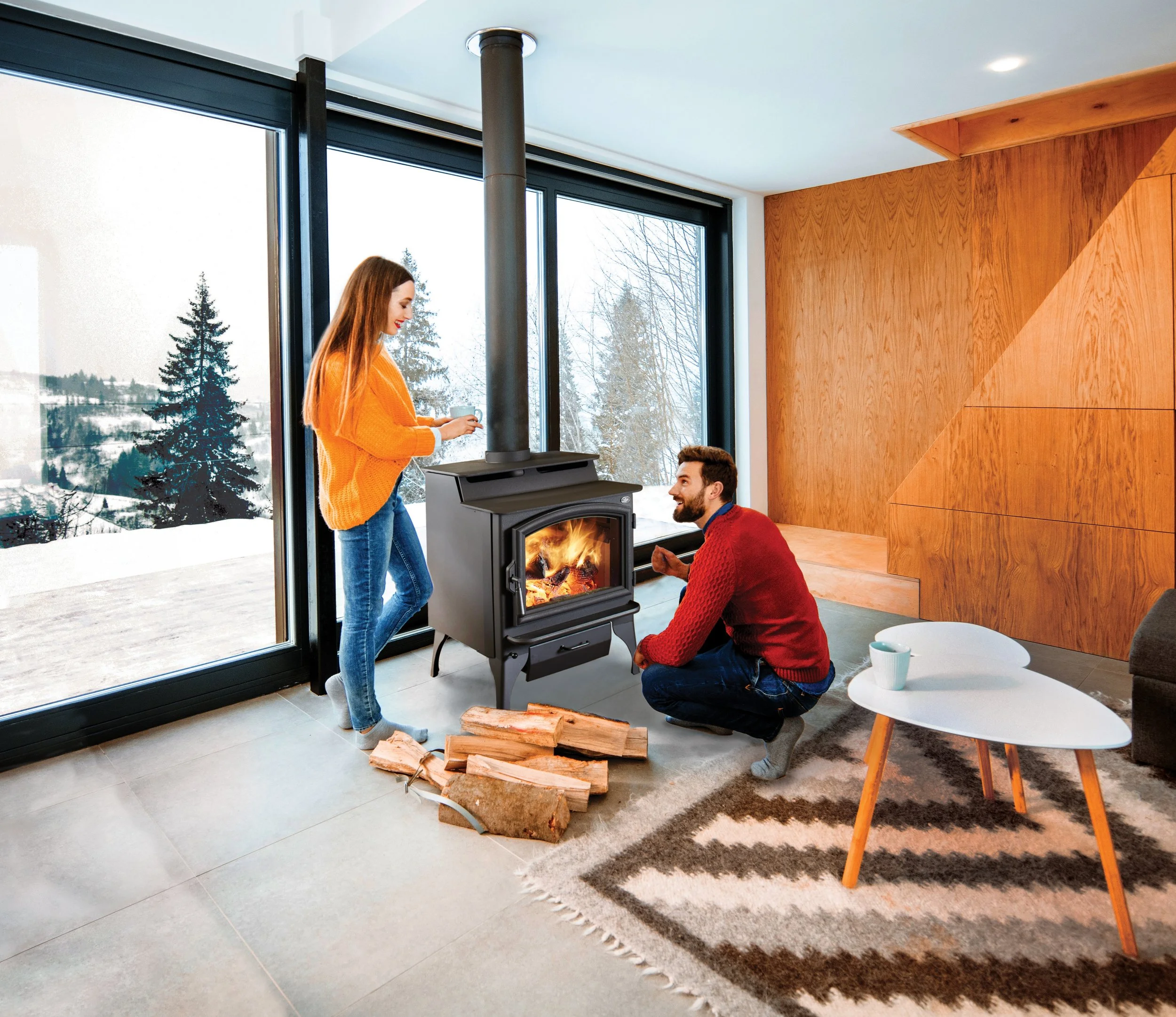 Endeavor NexGen-Hybrid™ Wood Stove