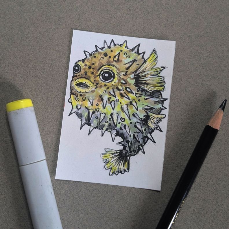 pufferfish_aceo.jpeg