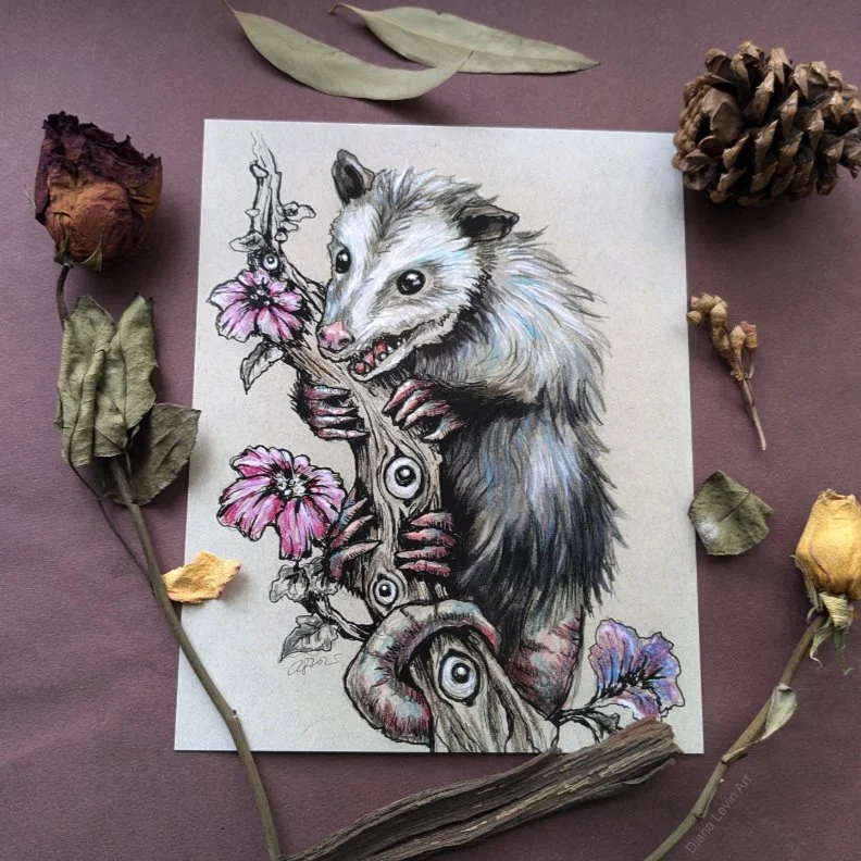 Opossum Tree 8" x 10" Art Print