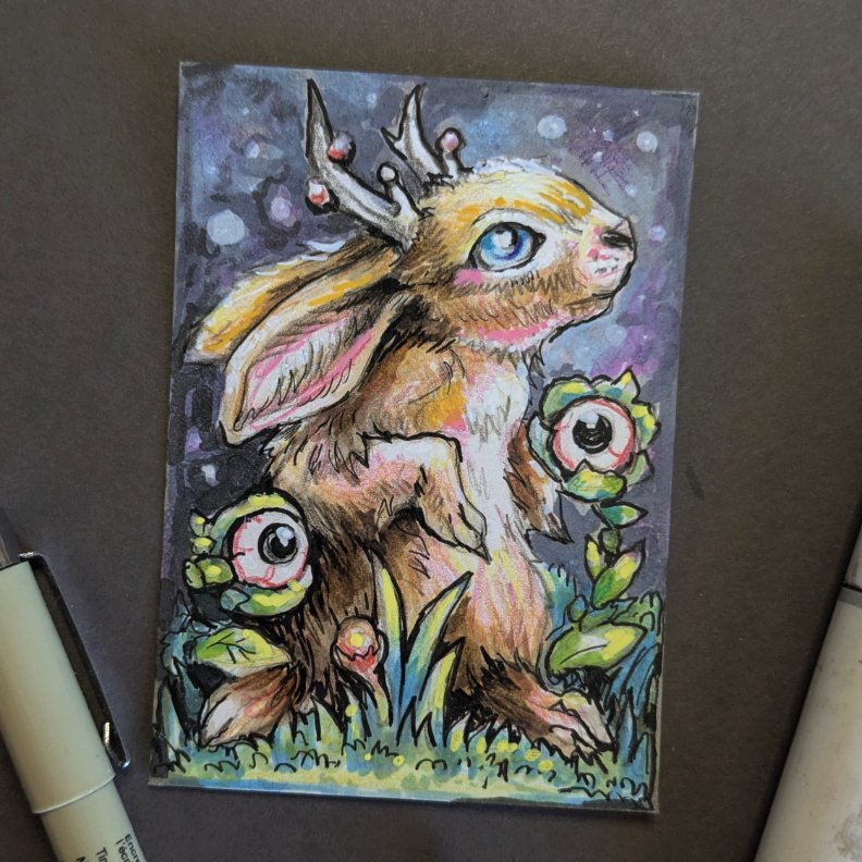 dreamer_aceo.jpg
