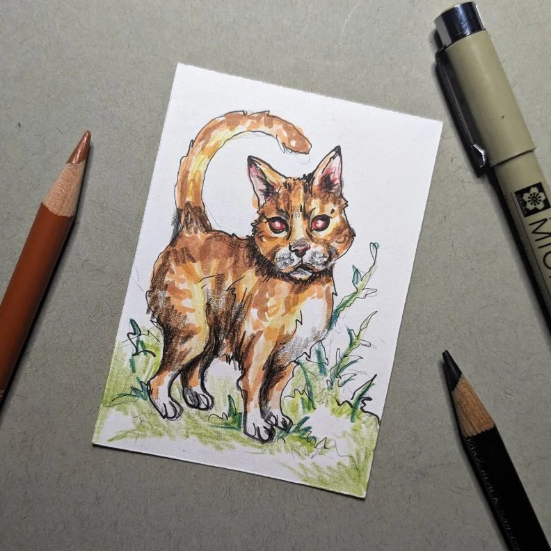 tiger_cat_aceo.jpg