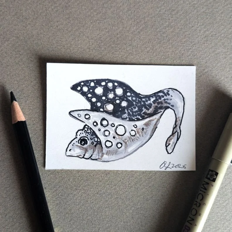 Manta Ray Mini Original ACEO 2.5" x 3.5" Drawing