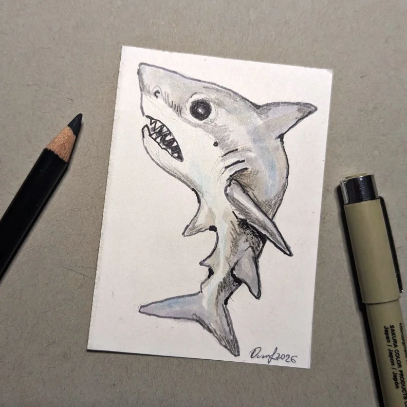 Grey Shark Mini Original ACEO 2.5" x 3.5" Drawing
