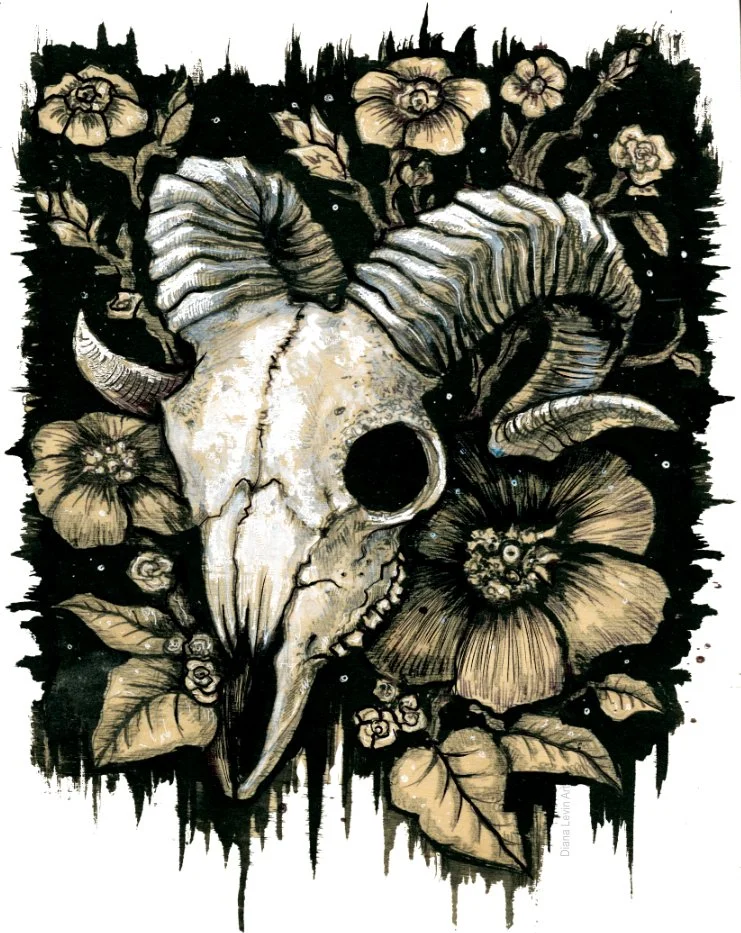 Ram Skull 11" x 14" Art Print