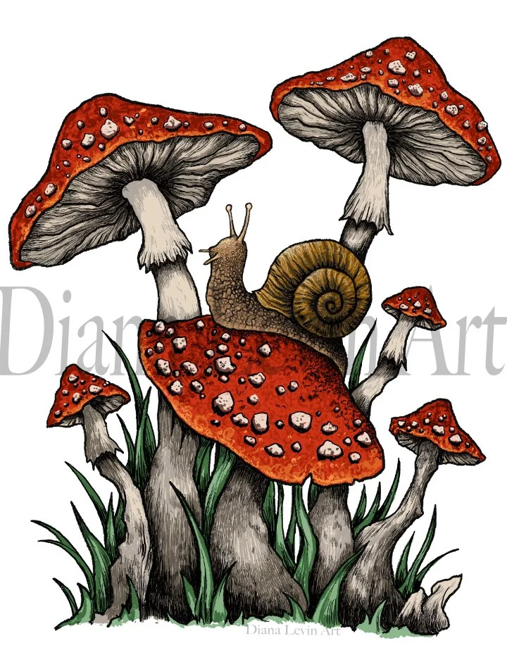 Red Cap Summer 8" x 10" Art Print