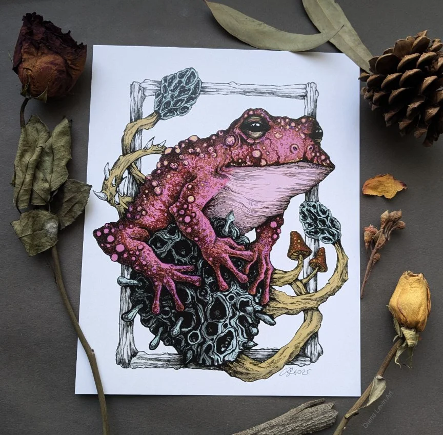 Fun In Paradise - Pink Toad - 8" x 10" Art Print