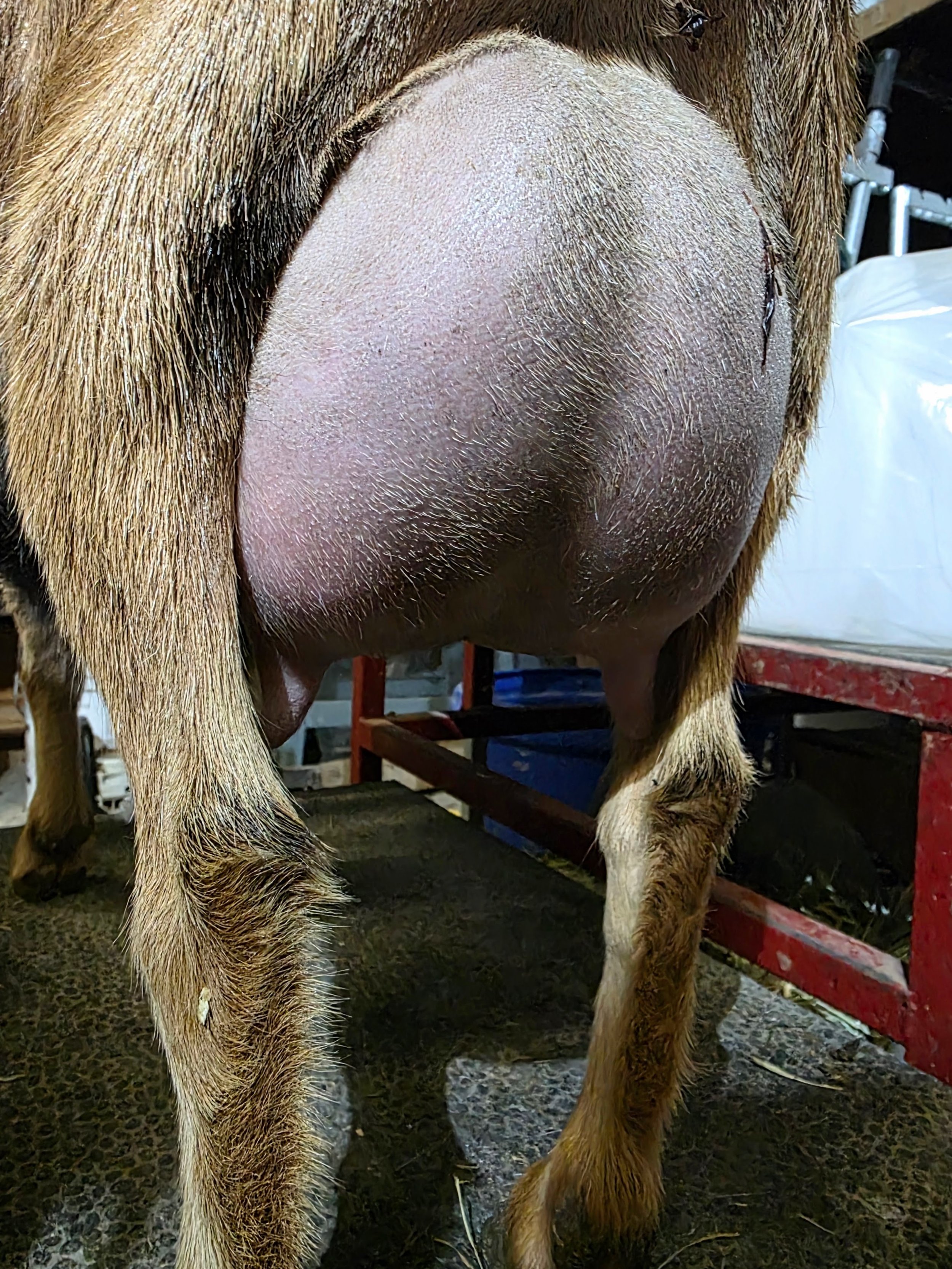 2F- 10 days in roughly