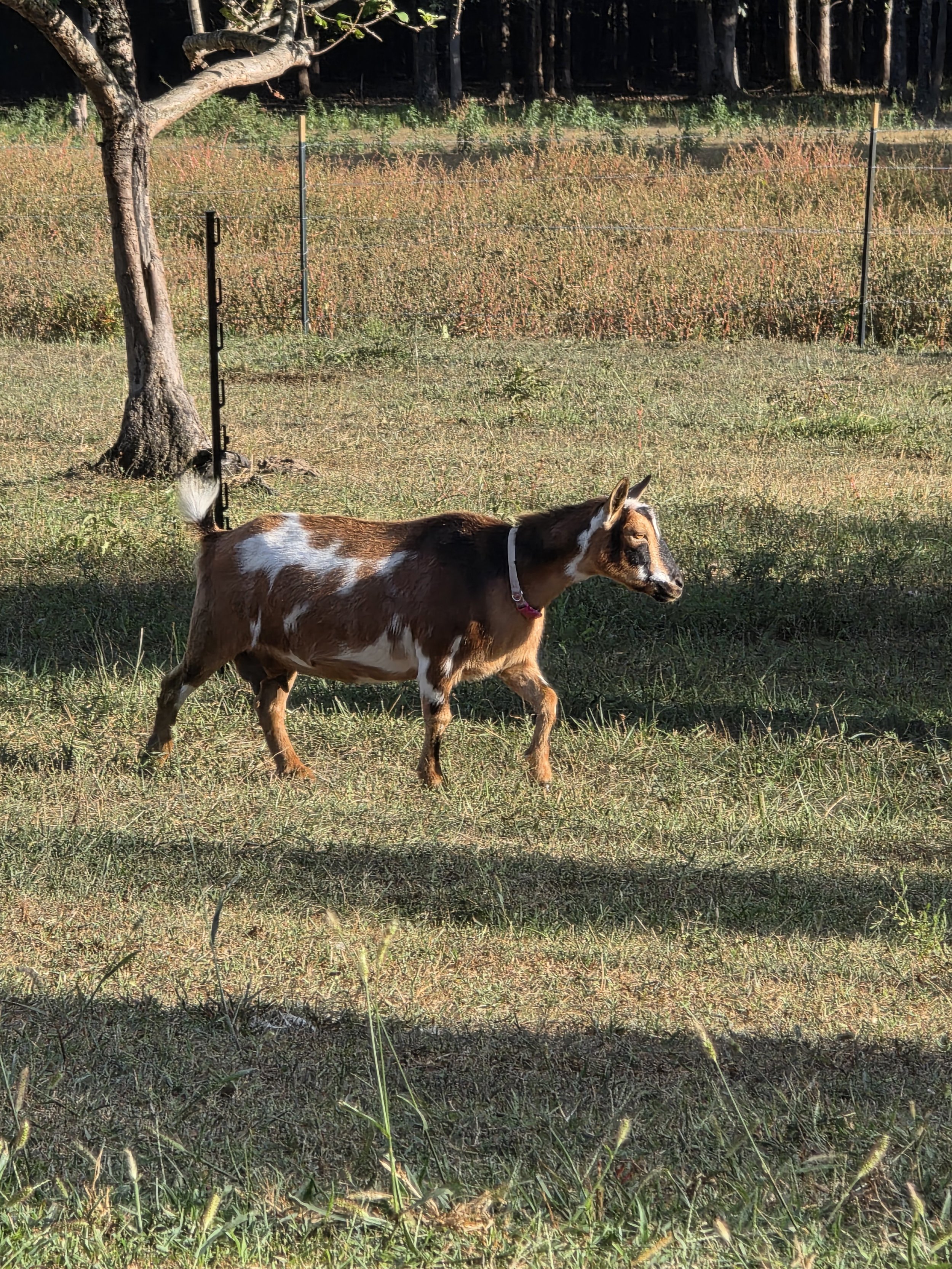 20250825_180554 (1).jpg