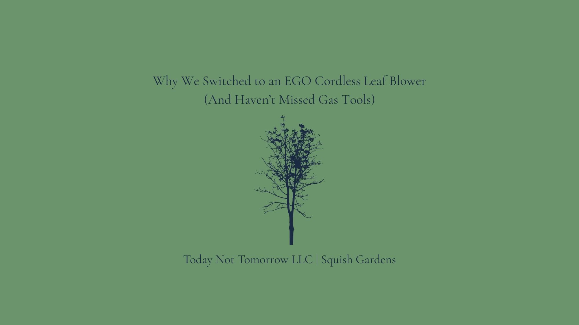 Why We Switched to an EGO Cordless Leaf Blower (And Haven’t Missed Gas Tools)