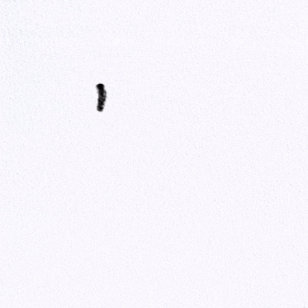 Close-up of a black tattoo on a person's fingertip.
