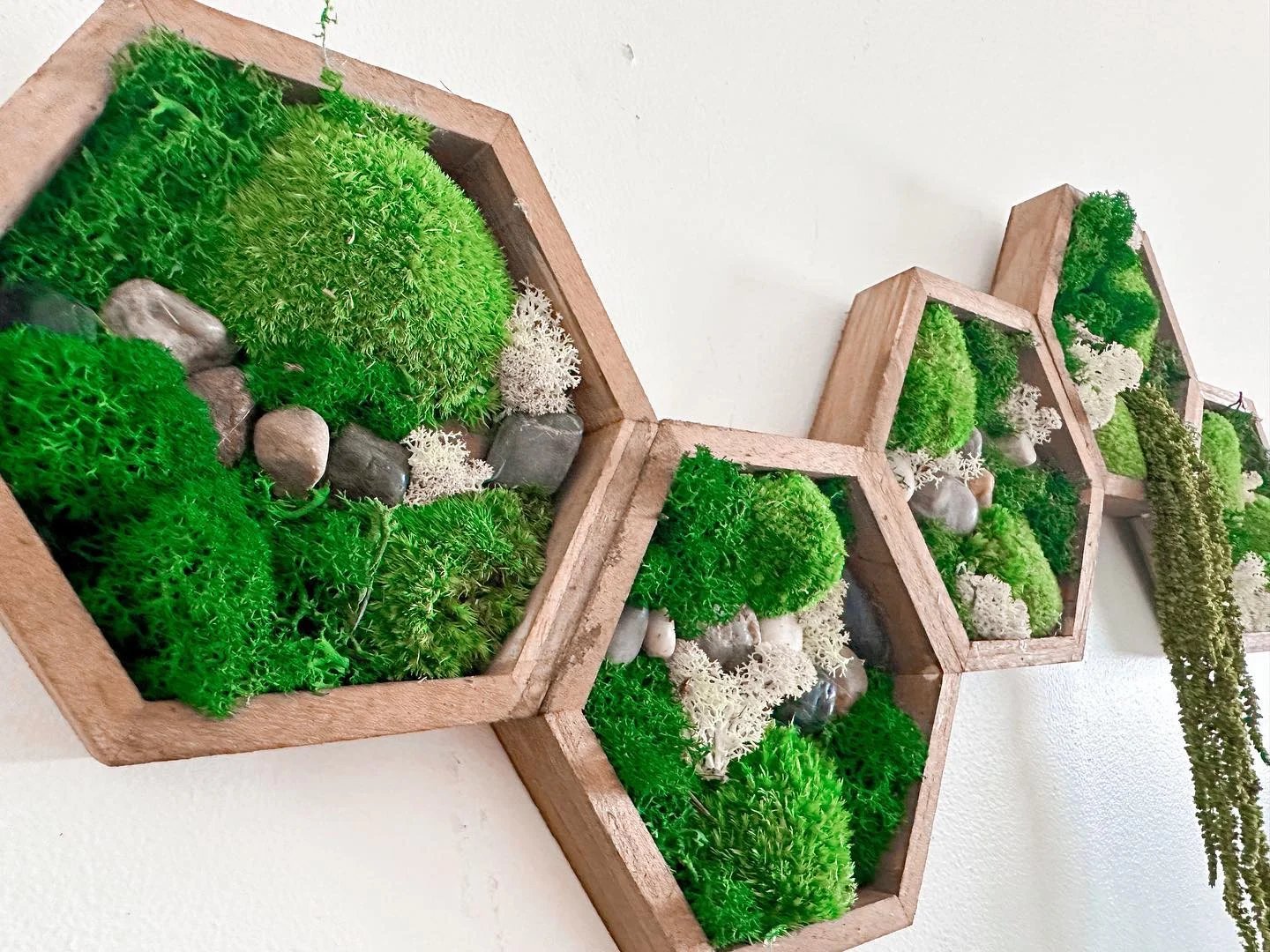 custom-moss-art-commission-residential-home-edmonton-4.jpg