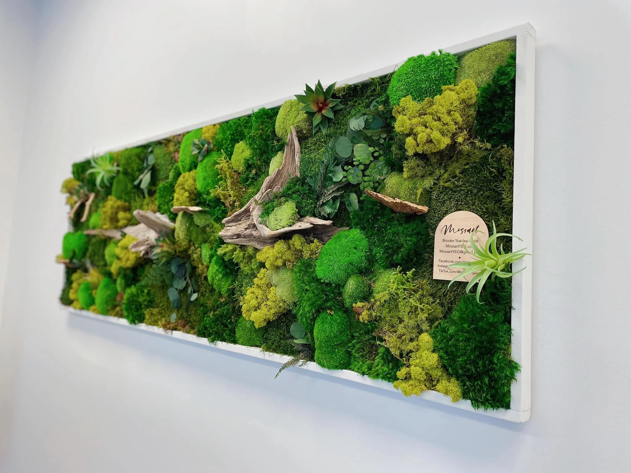 custom-moss-art-mural-commercial-office-edmonton.jpg