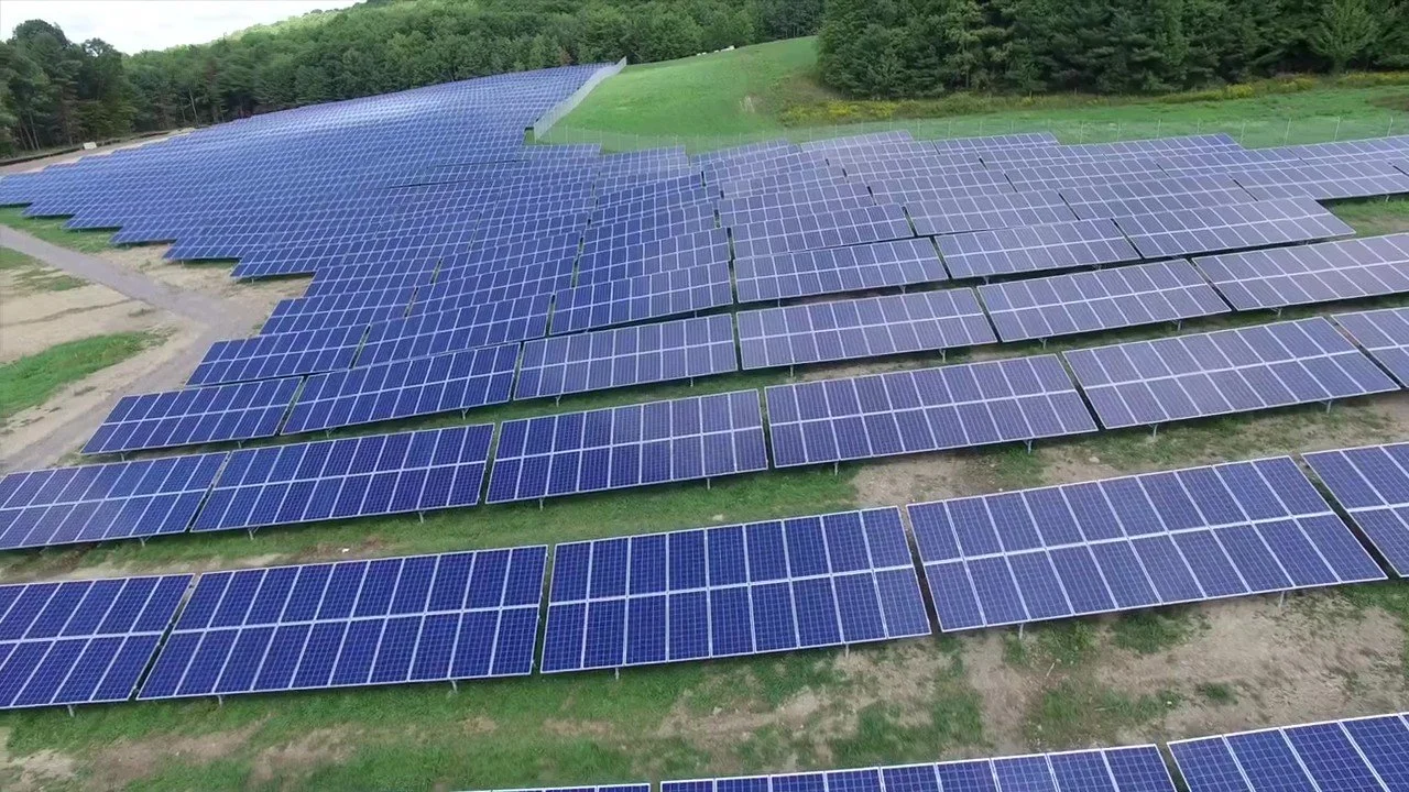 A large solar panel farm on a grassy hillside surrounded by trees.