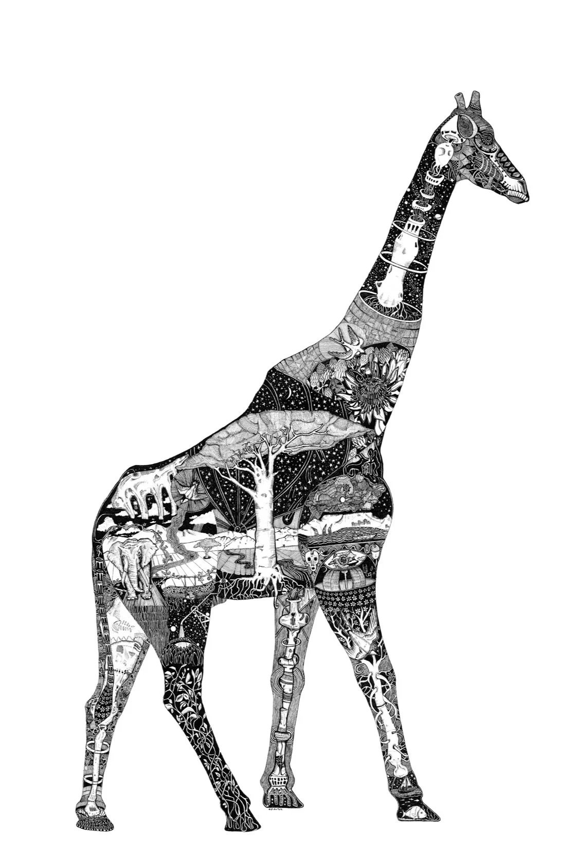 GIRAFFE+RGB.jpg